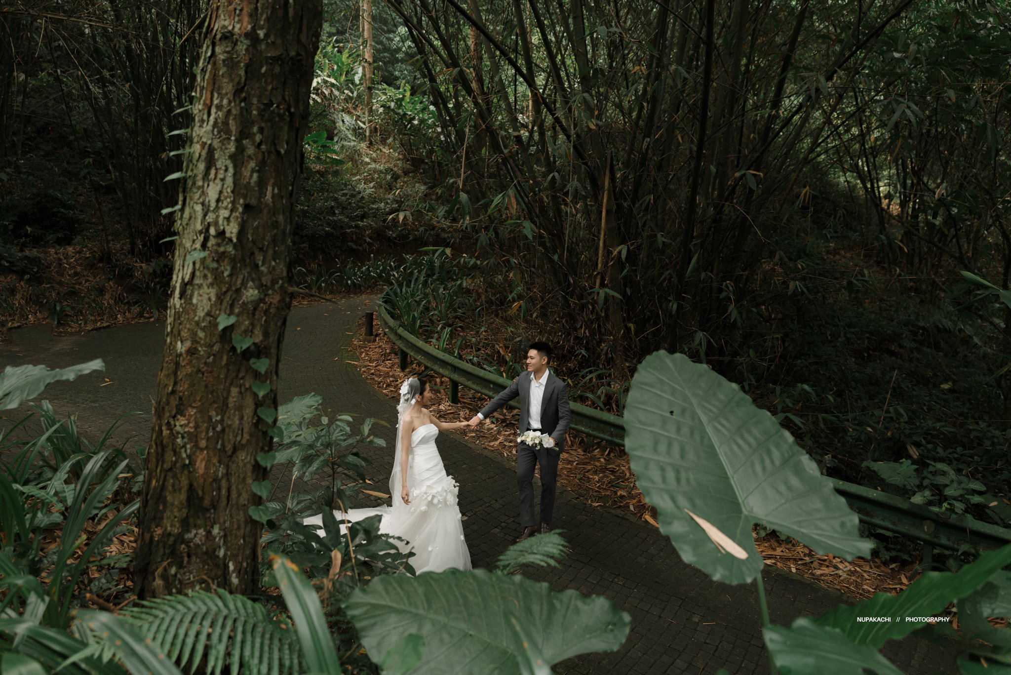 Cặp đôi giữa những tán lá môn khổng lồ ở rừng Ba Vì, prewedding Nupakachi
