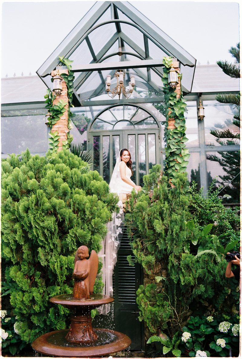 Bride and groom in a topiary garden and glasshouse on 35mm film (frame 9 of 12)