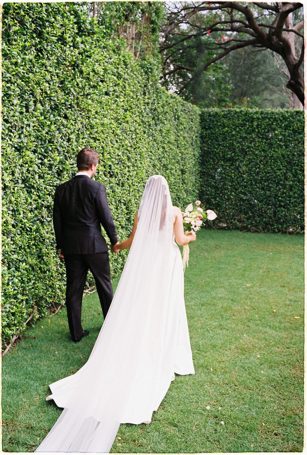 Bride and groom walking between tall hedges, 35mm film
