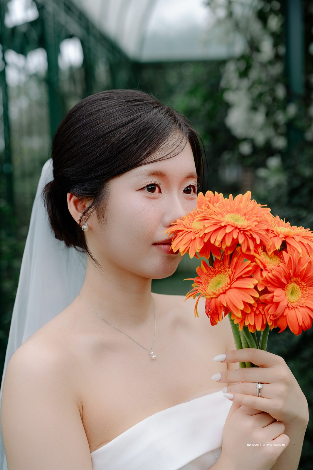 Orange gerberas by the glasshouse