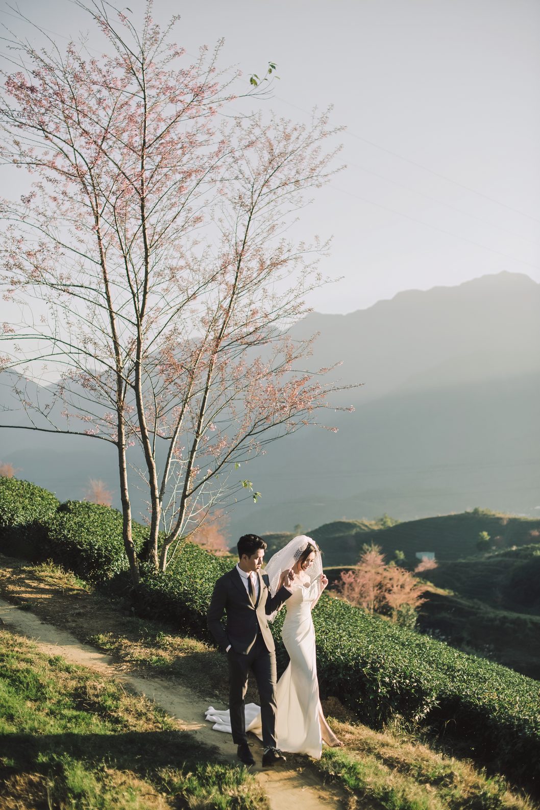 Cặp đôi giữa đồi chè với dãy núi mờ sương phía sau, prewedding Sapa