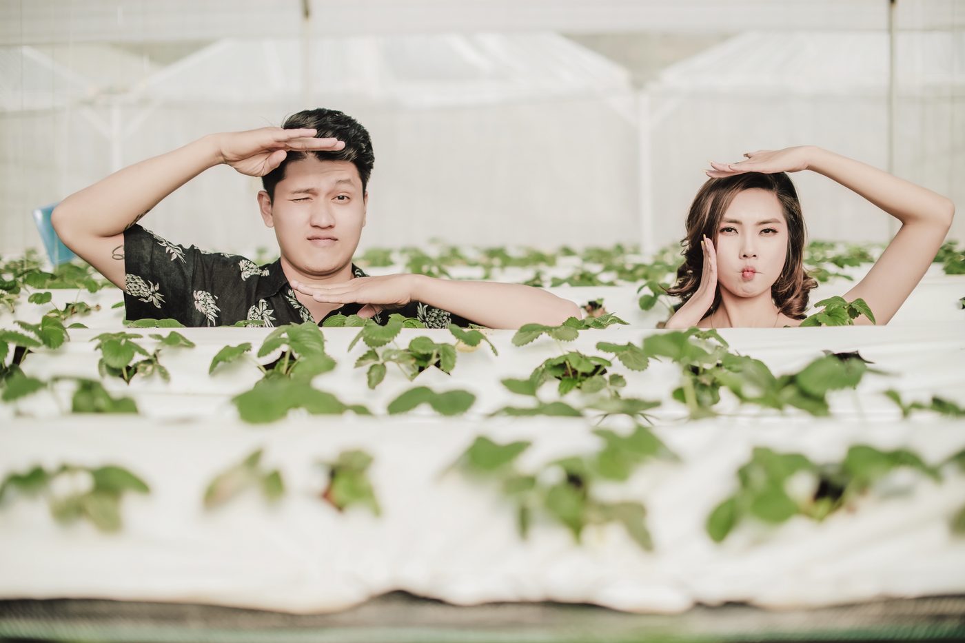 Khoảnh khắc đùa vui bên giàn dâu tây, prewedding Sapa