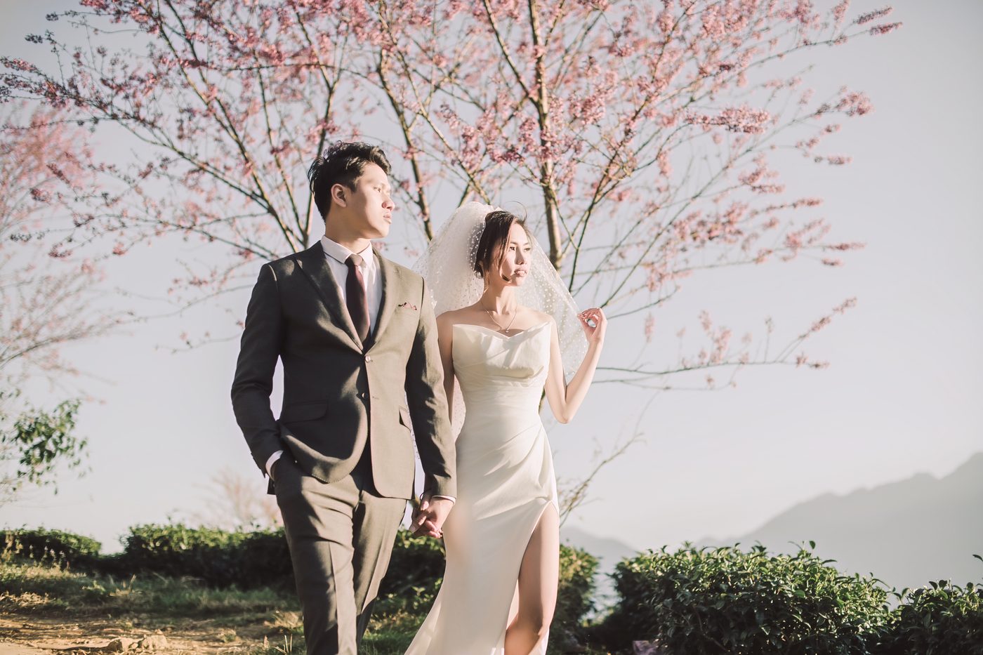 Cô dâu chú rể dạo bước dưới hàng hoa đào nở, chụp ảnh cưới Sapa