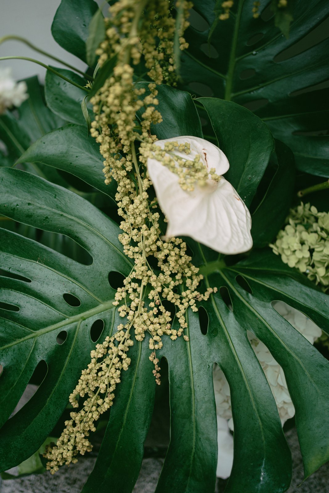 Anthurium and monstera greenery close up, botanical wedding decor detail