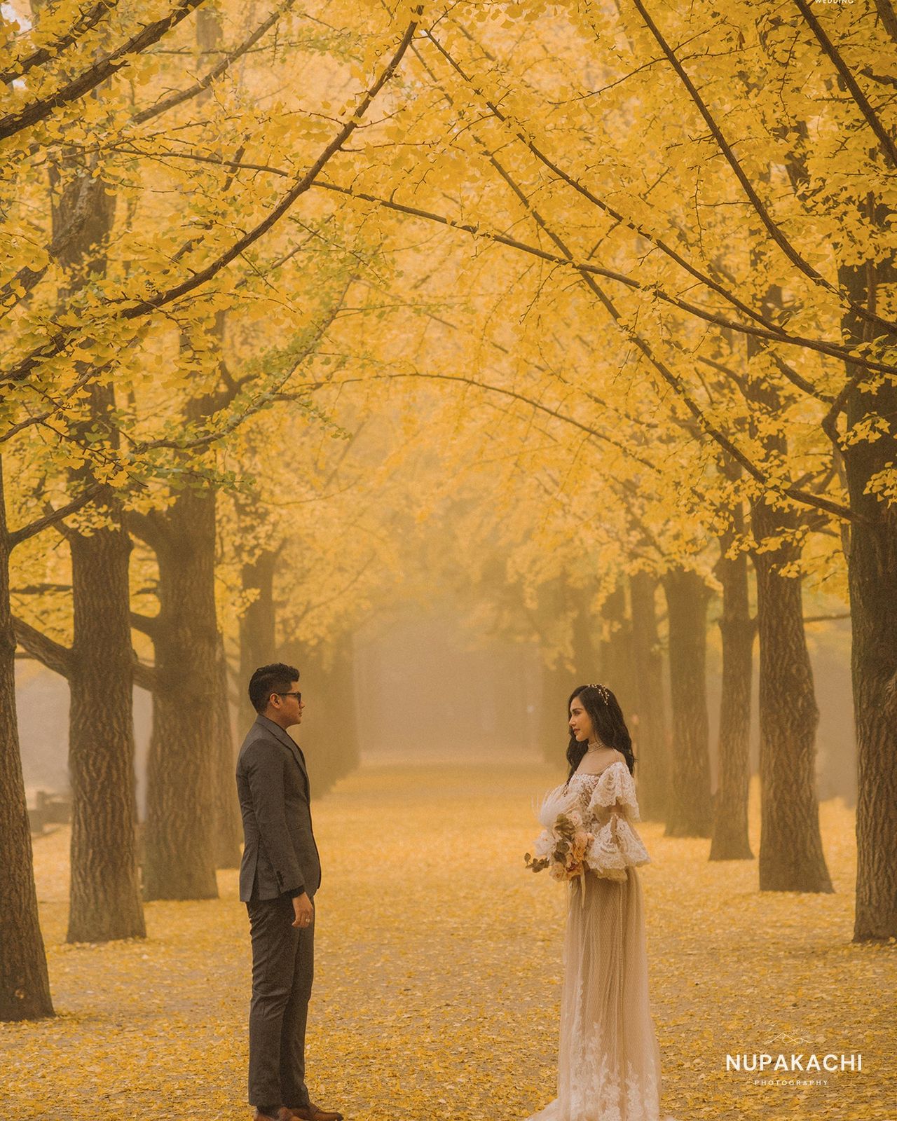 Golden ginkgo avenue in autumn, Korea pre-wedding by Nupakachi
