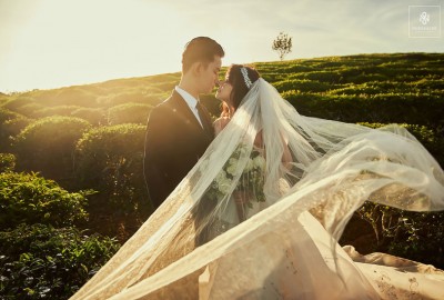 Tiệm chụp ảnh cưới ở Đà Lạt và chi phí chụp ảnh cưới