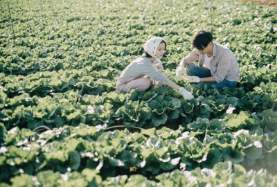 Chụp ảnh cưới nông dân “CỰC HOT” cho cặp đôi 9X