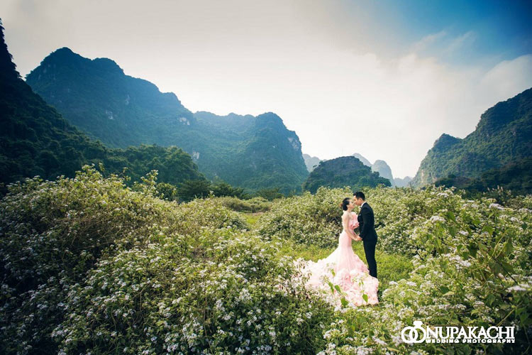 Chụp ảnh cưới tại Tràng An Ninh Bình