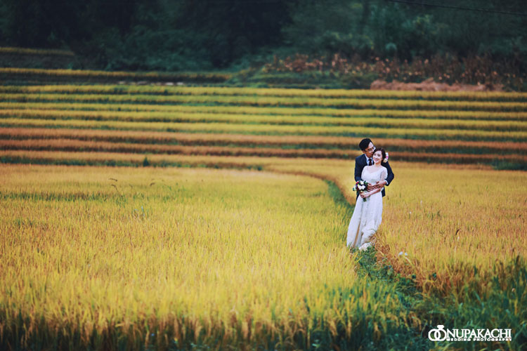 địa điểm chụp ảnh cưới ở Mộc Châu