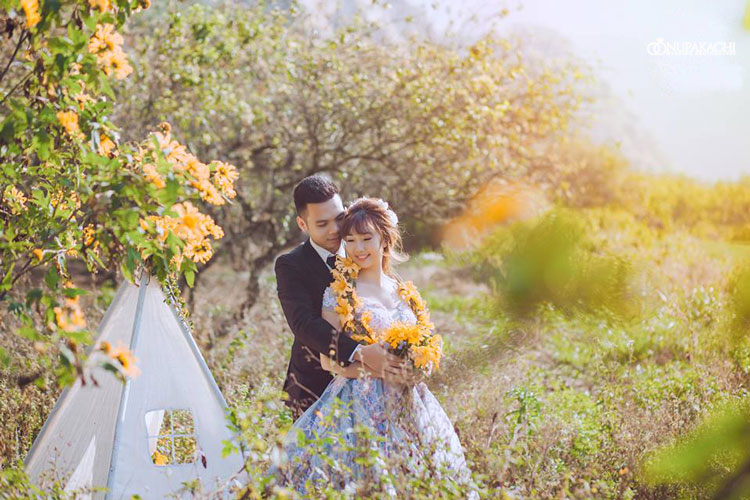 địa điểm chụp ảnh cưới ở Mộc Châu