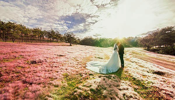 Chụp ảnh cưới Đà Lạt đồi cỏ hồng