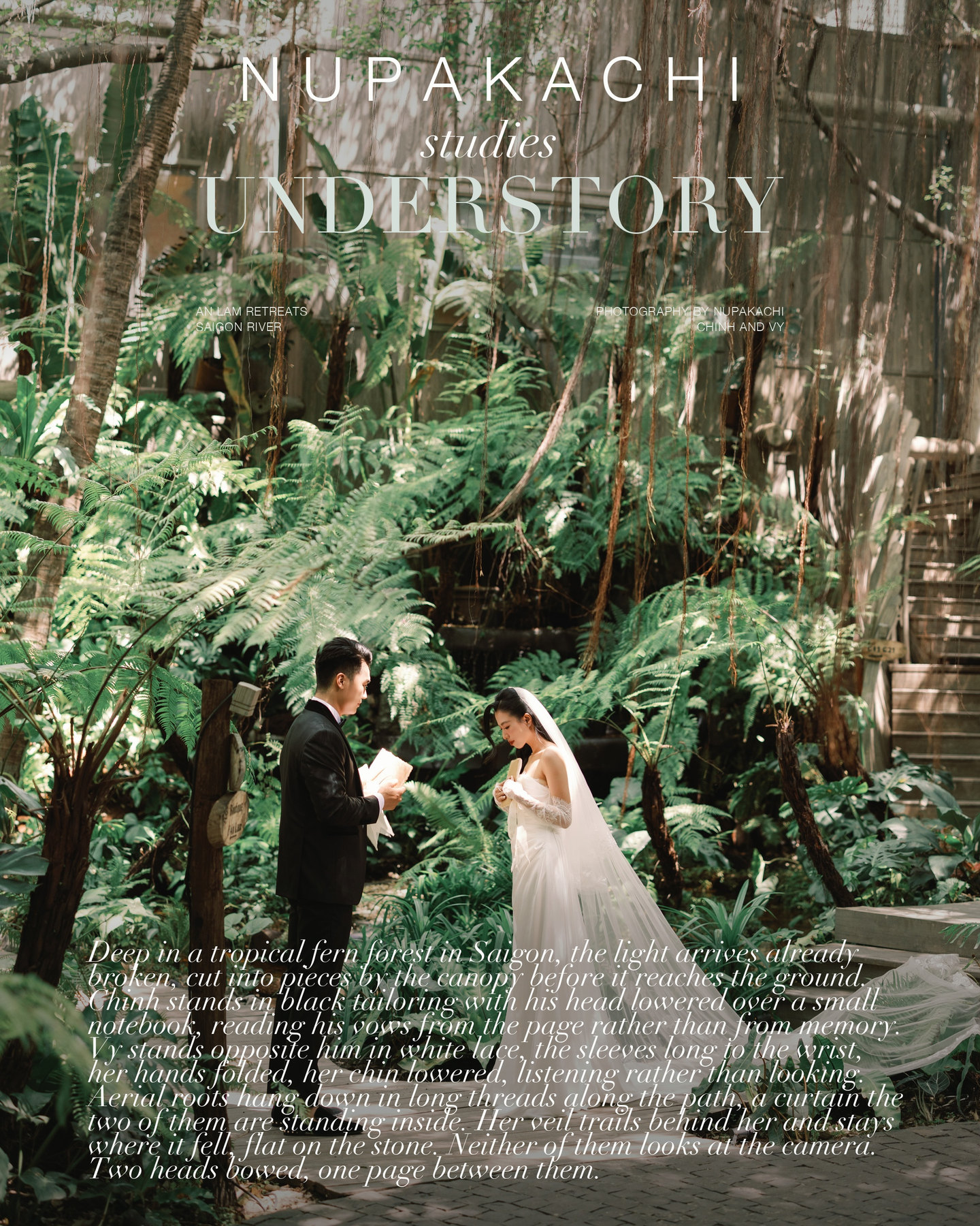 Thiết kế Understory